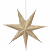 Celeste star - Golden sand 60cm