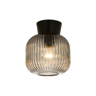 VANJA plafond, svart/rök