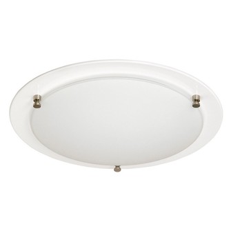 Cirklo plafond D300 vit E14