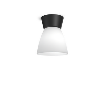 BIZZO Plafond, Svart/Opalglas E27