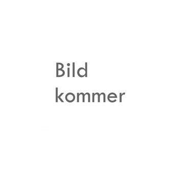 Reservdel till Taklampa Bergsman äldre modell