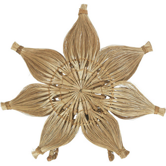 Agnes bordsstjärna, Natur 47cm
