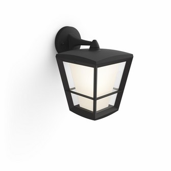 Econic Hue WACA EU down wall lantern