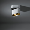 Duell Surface Adjustable 1x LED 2700K Medium Non-Dim DI White Structure - Champagne Anodised
