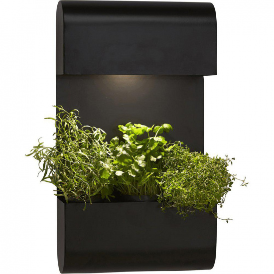 Planta v�gglampa, Svart, 70x40cm