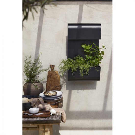 Planta v�gglampa, Svart, 70x40cm