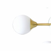 COSMOS taklampa 24-arm, matt mässing/vit COSMOS taklampa 24-arm, matt mässing/vit