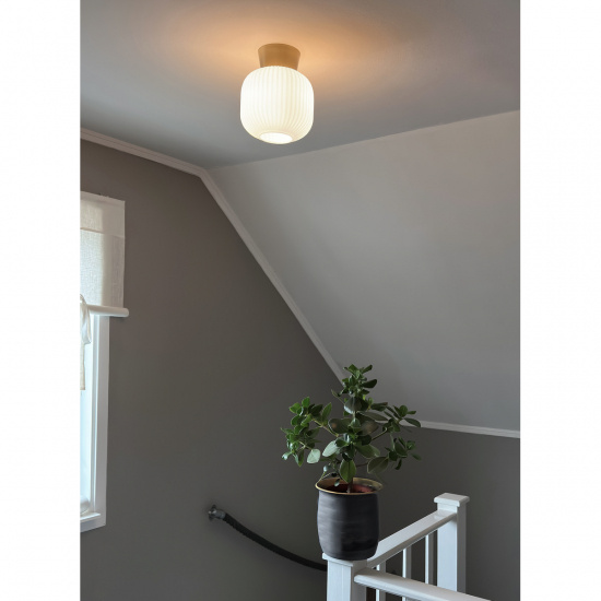 VANJA plafond, vit/matt m�ssing