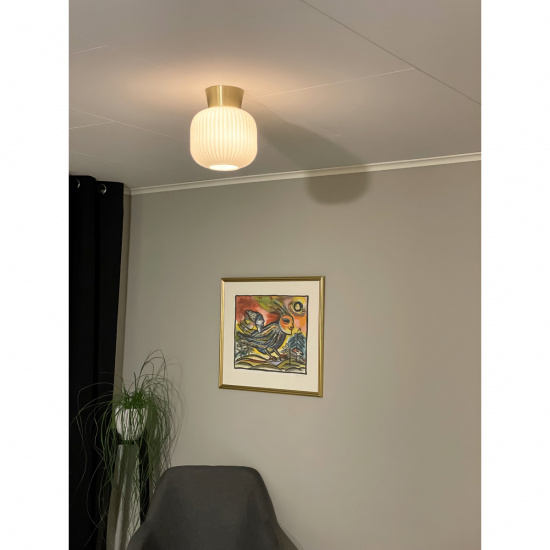 VANJA plafond, vit/matt m�ssing