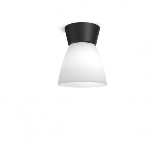 BIZZO Plafond, Svart/Opalglas E27