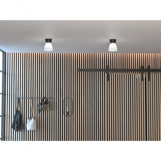 BIZZO Plafond, Svart/Opalglas E27