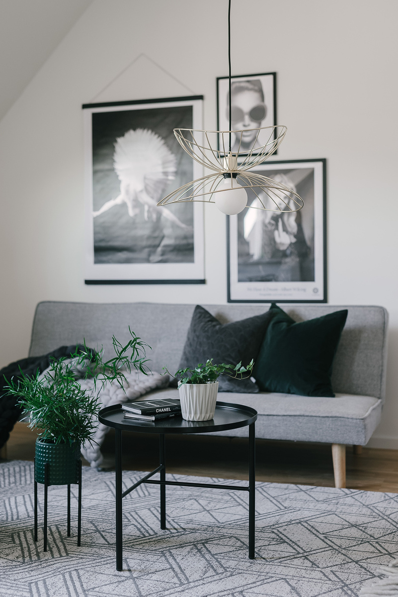 Pendel Ray 45 Borstad m�ssing