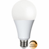 LED-lampa E27 A80 High Lumen