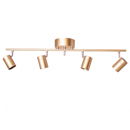 Correct takskena 4-l�g Guld