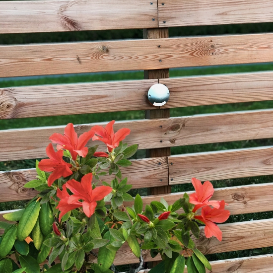 Zenit 5-pack (silver)