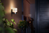 Tuar Hue wall lantern inox 1x9W 230V
