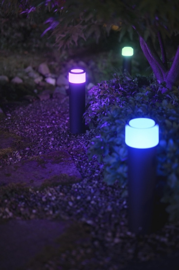 Calla Large Hue ext. pedestal black 1x8