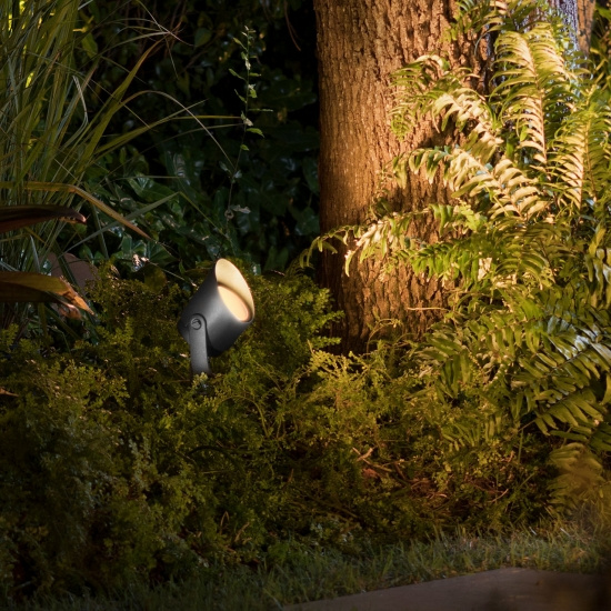 Lily XL Hue WACA LV EU spike black 1x15