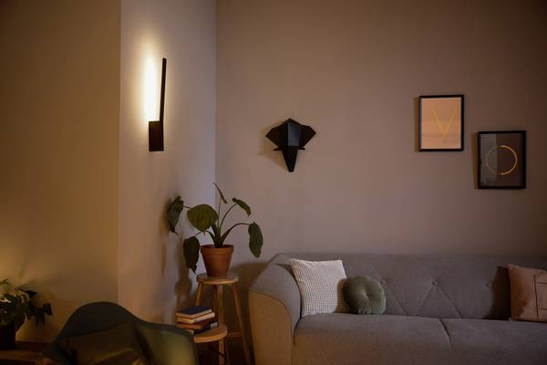 Liane Hue wall black 12W 24V