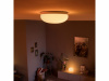 Flourish Hue ceiling lamp white 1x32W 24