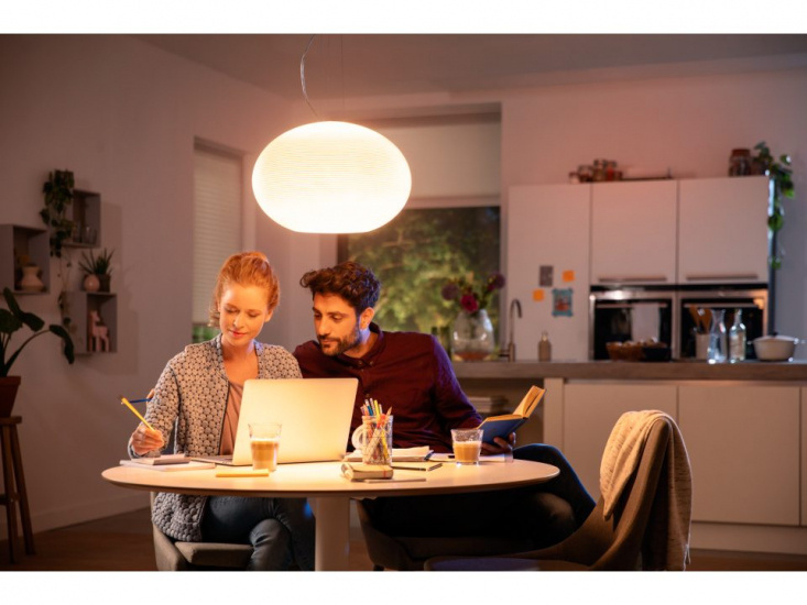 Flourish Hue pendant EU/UK white 31W 24V